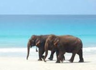 Andaman Tour Package (Budget Package)
