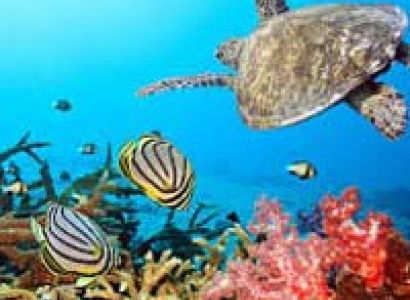 Historical Adventure Tour