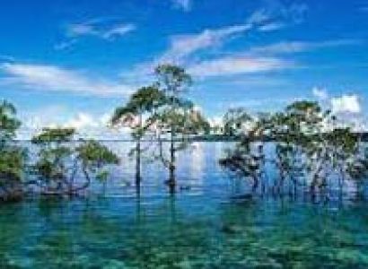 Exploring Andaman Tour