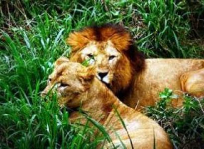 Eastern Arunachal Cultural & Tribal Tour