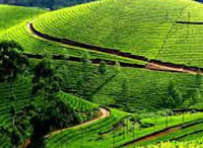 Short Escape to Ooty Package