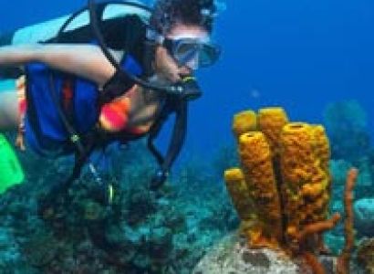 Explore Andaman Tour