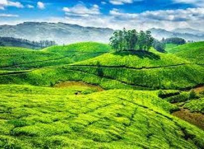 Kerala Tour 6 Nights Tour
