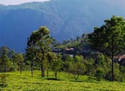 Kerala Hill Station Tour Package