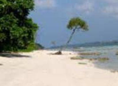 Ross and Smith Island Tour