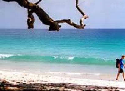 Baratang Island Tour Package in Andaman