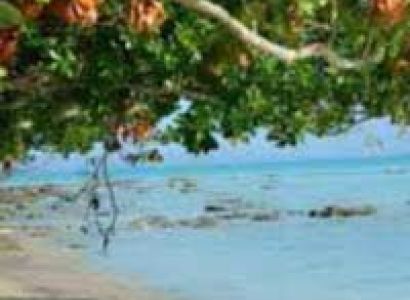 Netaji Nagar Beach Tour Package