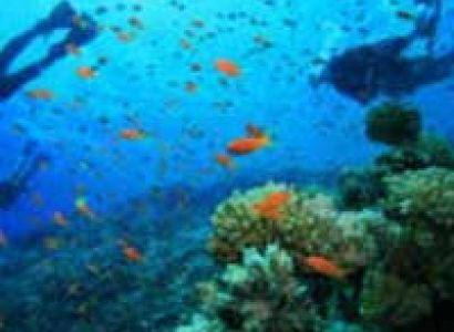 Vacation in Chidiya Tapu Tour