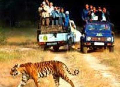 Weekend Getaway to Corbett Tour