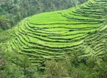 Jim Corbett with Nainital Tour