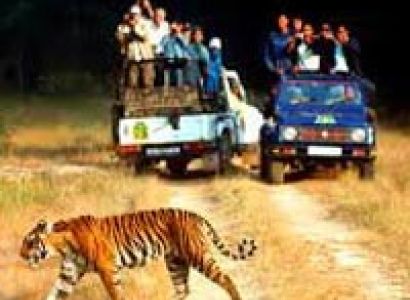 Corbett National Park Tour