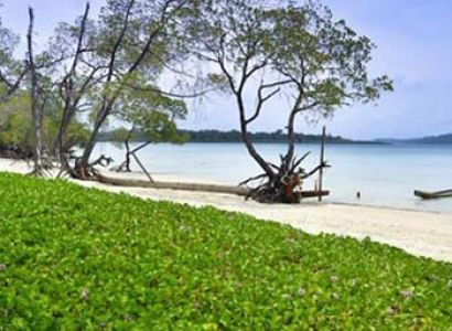 Andaman Tour