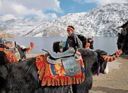 3 Night / 4 Days ( Gangtok 3 Night ) Tour