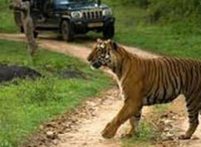 Dooars Tour Packages