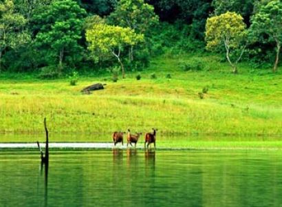 Kerala Tour Package