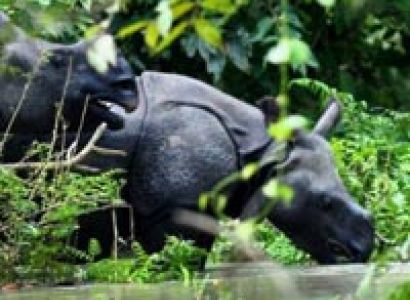 Guwahati, Shillong, Cherrapunji, Kaziranga Tour