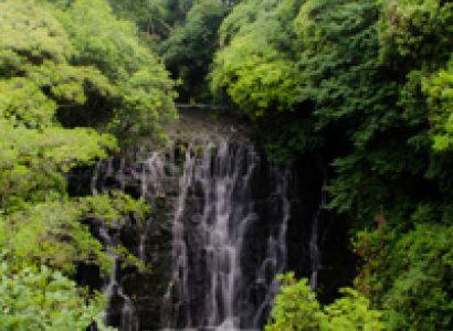 Shillong Cherrapunji Mawlynnong Tour 5DAY 4 N