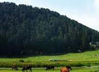 Exotic Land of Hills Package