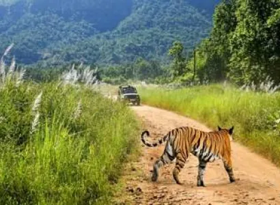 Nainital Jim Corbett Mussorrie Tour