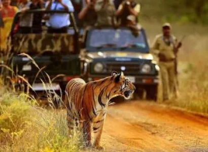 Nainital Jim Corbett Tour