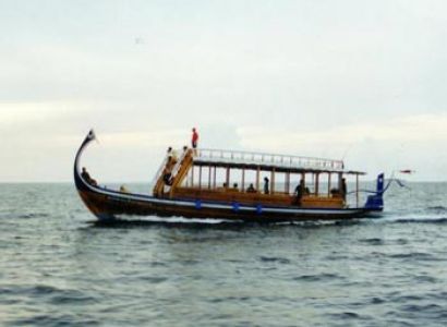 Dolphin Watching Tour