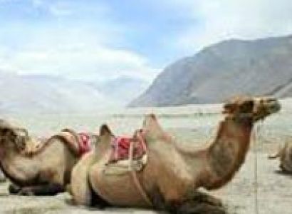 Across Kashmir to Ladakh Tour
