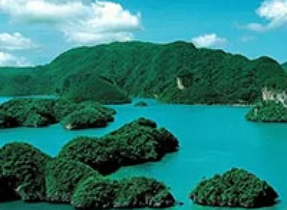 Malaysian Dreams Tour