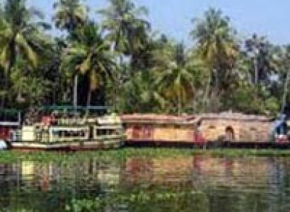 Munnar - Thekkady - Alleppey - Cochin - 5N 6 D Tour