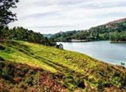 Munnar Monsoon Package