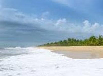 Kerala Backwater Tour In Alleppey