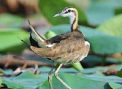 Weekend Tour Package