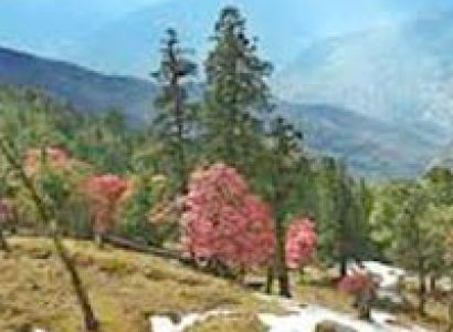 Corporate Group Tours 6d/5n