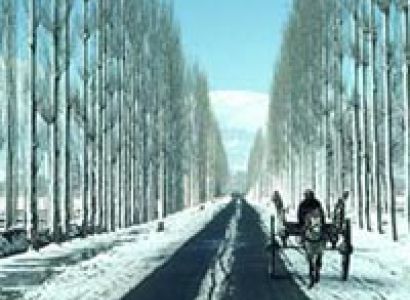 Paradise On Earth Tour