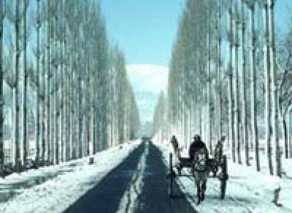 Kashmir Special 2016 Tour