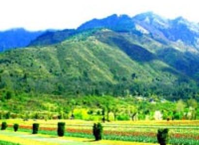 Paradise On Earth Special 2016 Tour