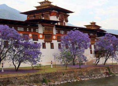 Western Bhutan In A Week 7 Days/6 Nights Tour