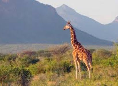 Kenya Tour Package