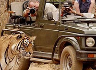 Ranthambore Weekend Tour