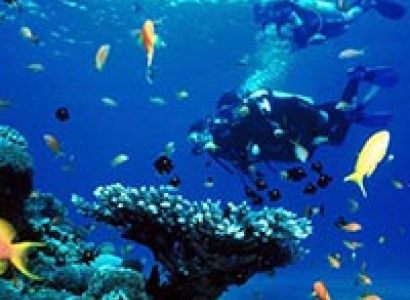 Weekend Wetspot Diving Package Image