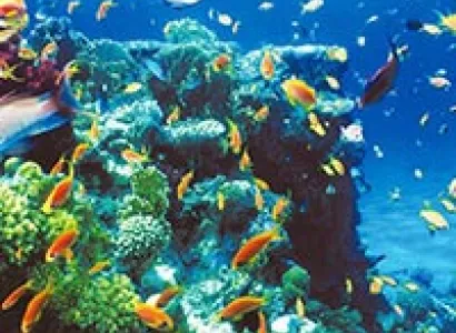 Fundive Five Diving Package