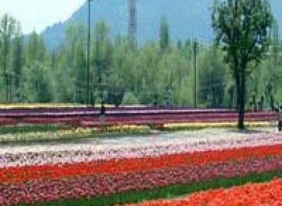 Jammu & Kashmir Tour