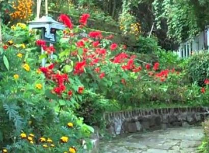 Mystique Mountain Tour