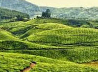 Himalayan Adventure Tour