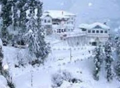 Dream Destinations Tours