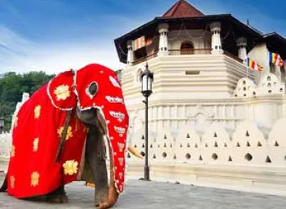 Sri Lanka Delights Package