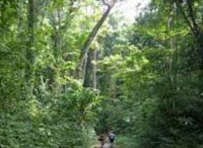 Havelock Paradise Tour