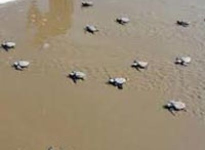 6 Days Andaman Tour Package