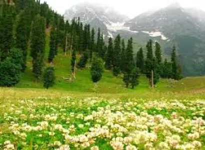 Sweet Kashmir Tour Package 02 Night / 03 Days