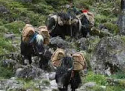 Baily Trail (Thempang / Mukto) Tour