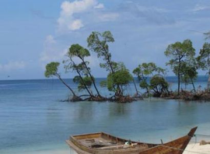 Exotic Honeymoon Trip Package